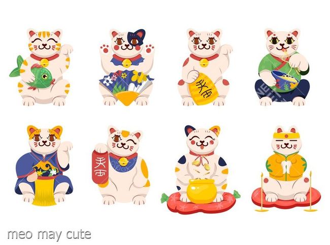 meo may cute